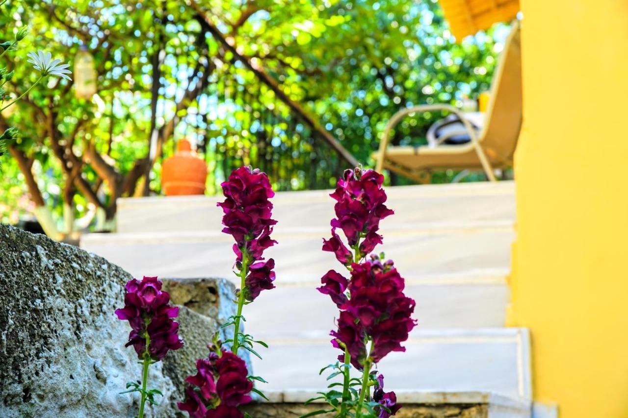Agnanti House Villa Symi Exteriör bild